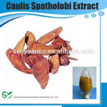 Caulis Spatholobi Extra, Caulis Spatholobi PE, Caulis Spatholobi Extract Powder